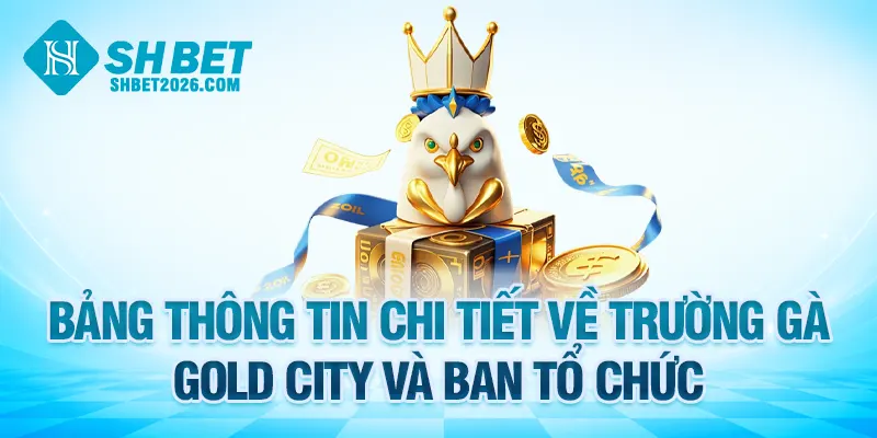 Bảng thông tin chi tiết về chủ trường gà Gold City là ai và ban tổ chức
