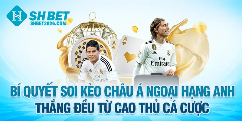 Bí quyết soi kèo châu Á Ngoại Hạng Anh thắng đều từ cao thủ cá cược