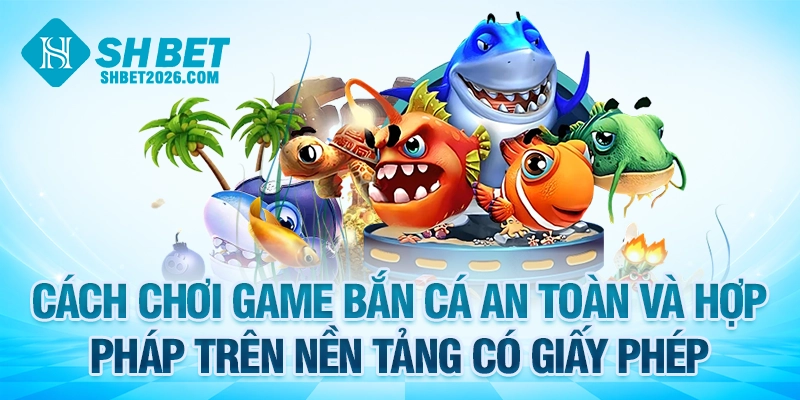 Cách chơi game bắn cá an toàn và hợp pháp trên nền tảng có giấy phép