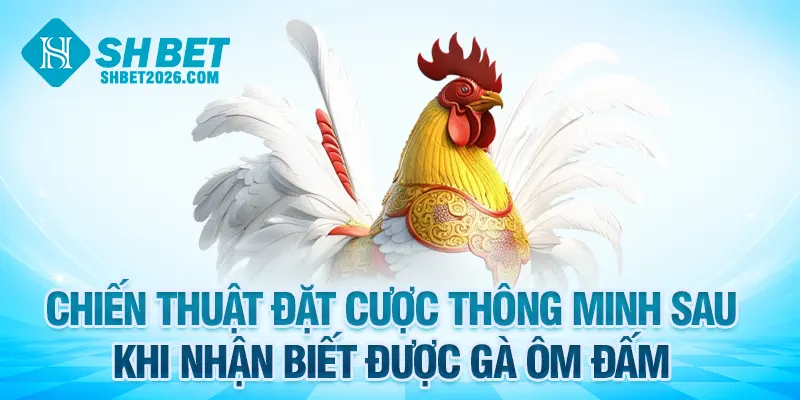 Chiến thuật đặt cược thông minh sau khi nhận biết được gà ôm đấm