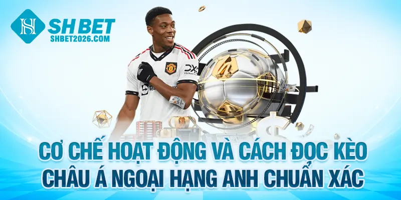 Cơ chế hoạt động và cách đọc kèo châu Á Ngoại Hạng Anh chuẩn xác