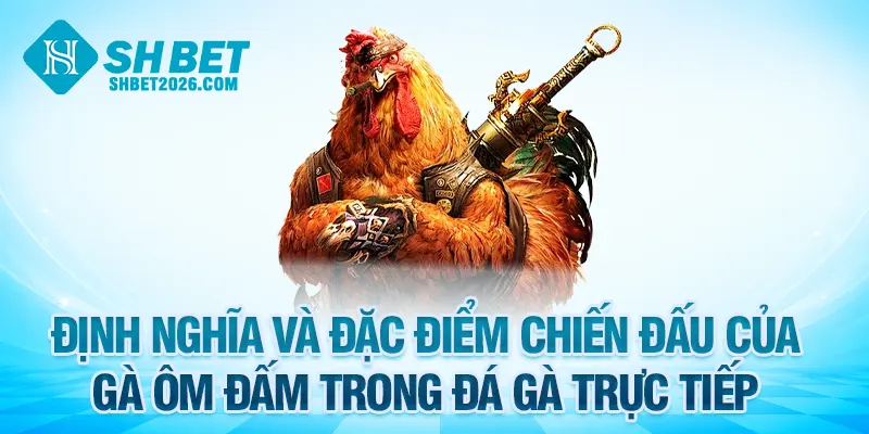Định nghĩa về cách nhận biết gà ôm đấm trong đá gà trực tiếp