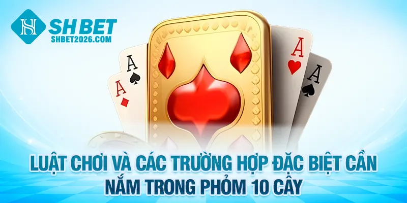 Luật chơi và các trường hợp đặc biệt cần nắm trong phỏm 10 cây