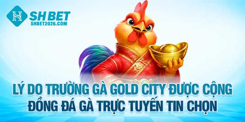 Lý do trường gà Gold City được cộng đồng đá gà trực tuyến tin chọn