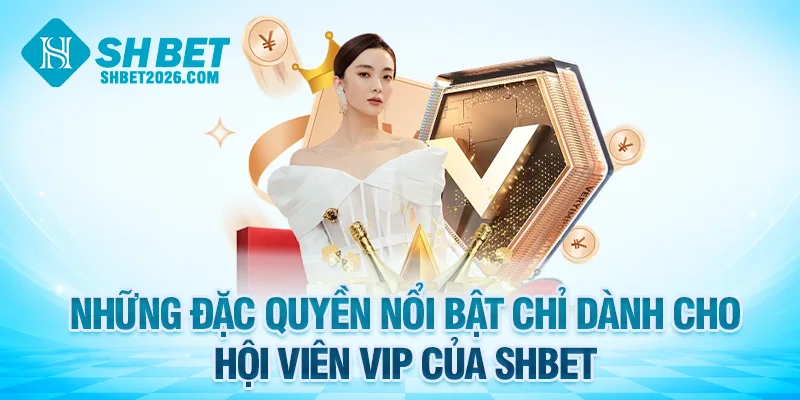 Những đặc quyền nổi bật chỉ dành cho hội viên VIP của SHBET