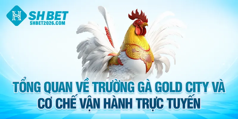 Tổng quan về chủ trường gà Gold City là ai và cơ chế vận hành trực tuyến